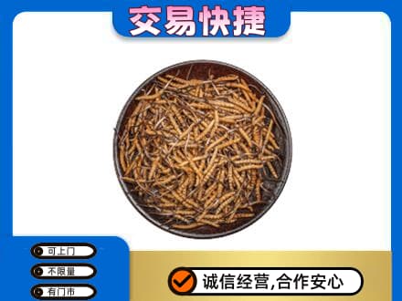 合肥回收散虫草